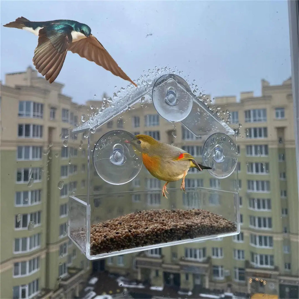 Window Bird Feeder with Suction Cups – Clear Acrylic Bird Feeder for Window, Outdoor Bird Feeder House for Garden Backyard, Bird Watching Gift for Bird Lovers, Transparent Bird Feeder Outside Hanging