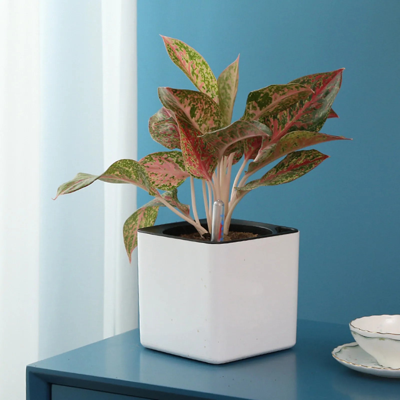 Self-Watering Planter Pot with Water Level Indicator — Modern Indoor Flower Pot