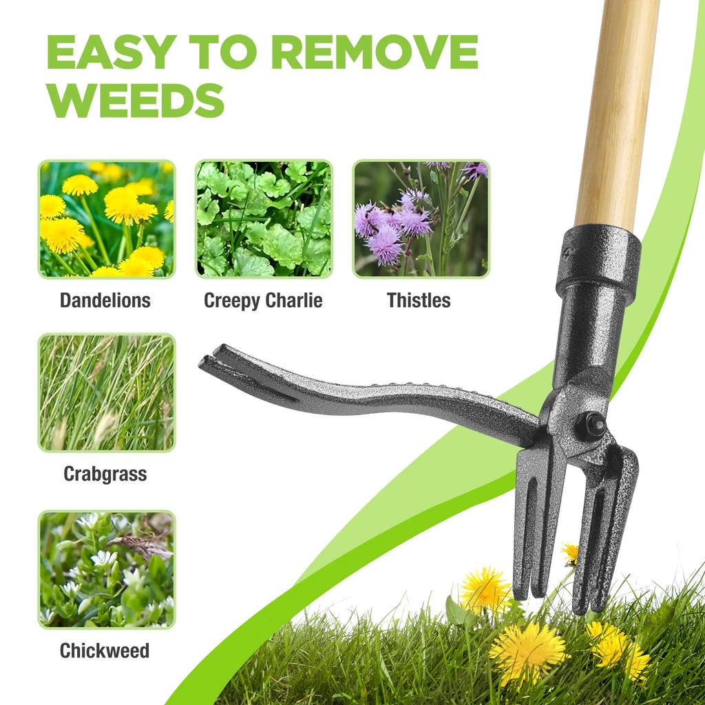 Grampa's Weeder – Original Stand-Up Weed Puller Tool | Long Bamboo Handle | 4-Claw Steel Head | Ergonomic No-Bend Garden Weeding Tool