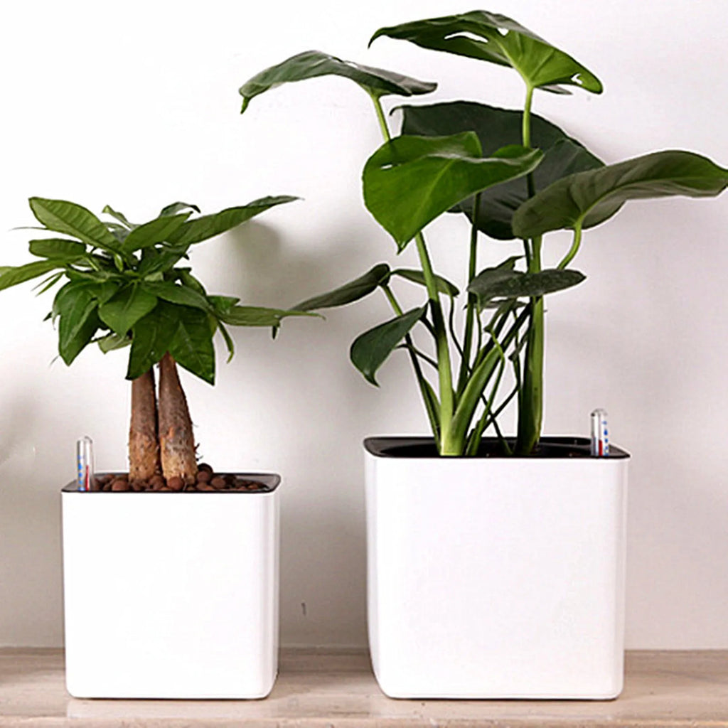 Self-Watering Planter Pot with Water Level Indicator — Modern Indoor Flower Pot