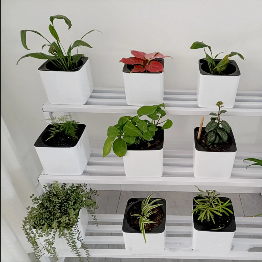 Self-Watering Planter Pot with Water Level Indicator — Modern Indoor Flower Pot
