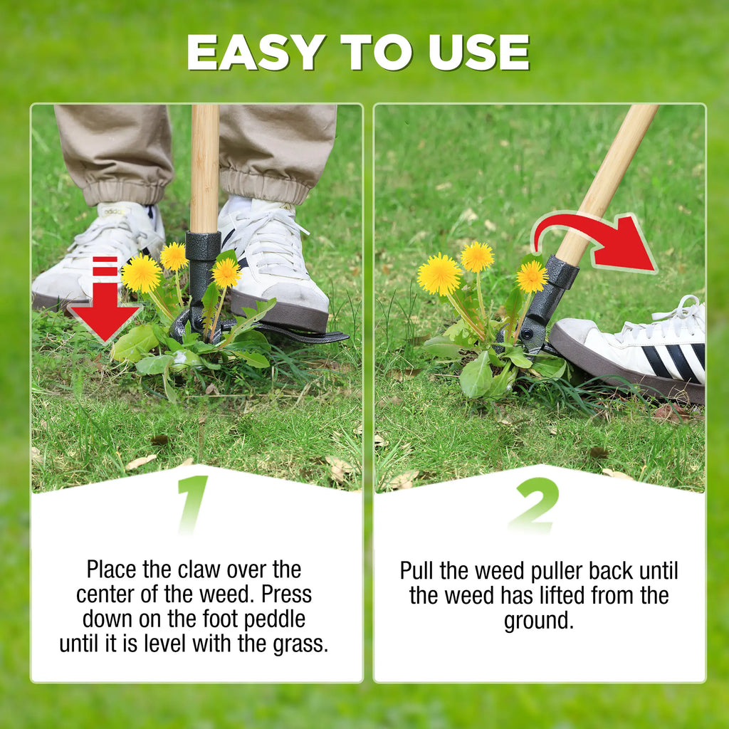 Grampa's Weeder – Original Stand-Up Weed Puller Tool | Long Bamboo Handle | 4-Claw Steel Head | Ergonomic No-Bend Garden Weeding Tool