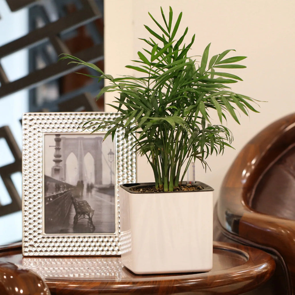 Self-Watering Planter Pot with Water Level Indicator — Modern Indoor Flower Pot